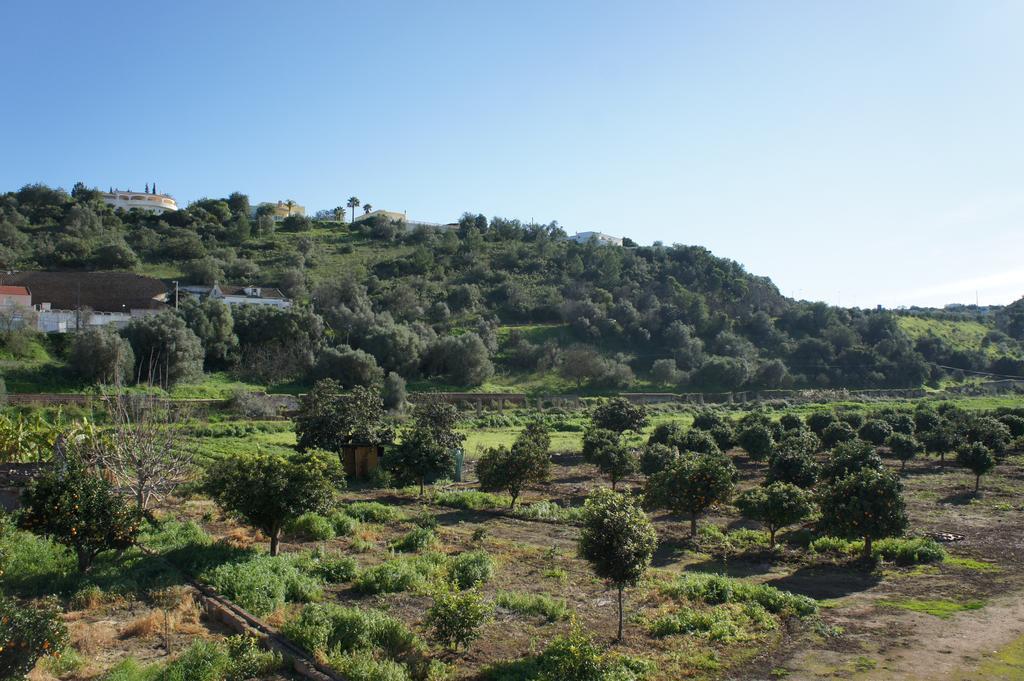 Horta Grande Hotell Silves Exteriör bild